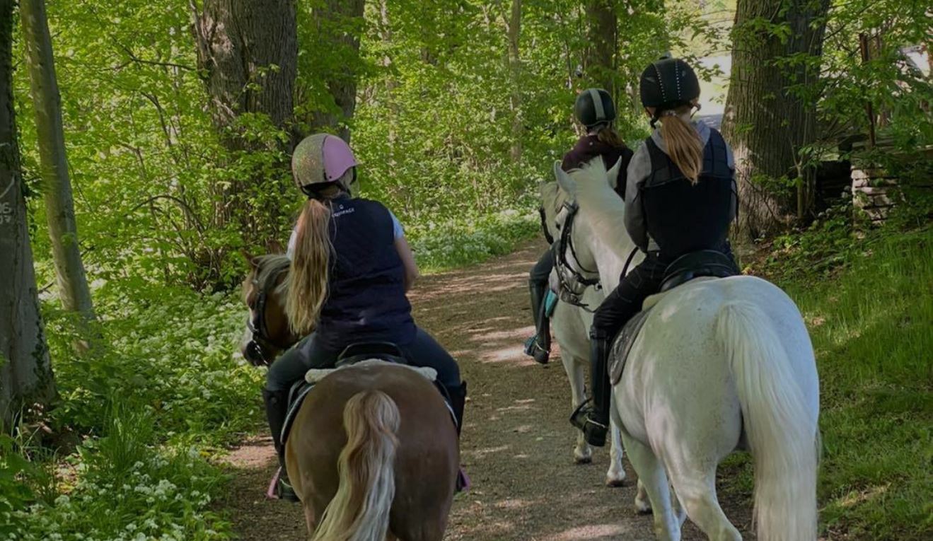 forside-svaneke-vandrerhjem